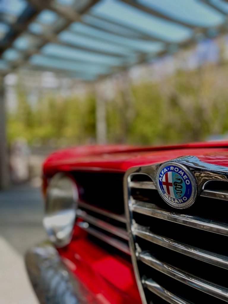 ちとせ105 Alfa romeo GIULIA